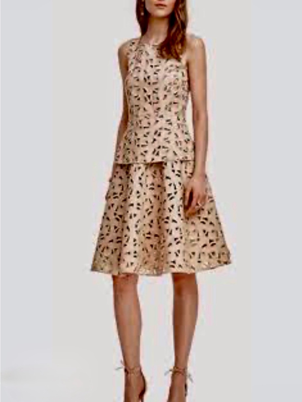Ann Taylor